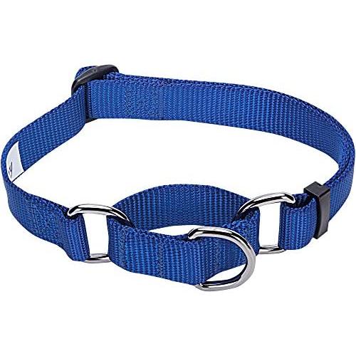 Blueberry Pet Essentials 21 Colors Safety Training Martingale Dog Collars, Personalized Martingale Dog Collars