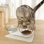 JUILE YUAN Cat Raised Stand Double Transparent Plastic Bowl,Pet Feeding Bowl | Pet Food Water Feeder Bowl for Cats and Dogs ,Cute Cat Face Elevated Double Bowl 15 Degree Tilted Design Neck Guard JUILE YUAN Cat Raised Stand Double Transparent Plastic Bowl,Pet Feeding Bowl | Pet Food Water Feeder Bowl for Cats and Dogs ,Cute Cat Face Elevated Double Bowl 15 Degree Tilted Design Neck Guard
