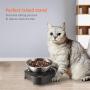 Elevated Cat Bowl, Cat and Small Dog Food Bowl Stand, 15° Tilted Raised Cat Food and Water Bowls, Stainless Steel Cat Food Bowls, Non Slip No Spill, Healthy Eating Posture and Ergonomics for Pets