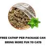 Tylu Cat Scratcher Cardboard Cat Scratching Toy Durable Scratching Pad 1 Pack Board with 2 Pack Catnip for Furniture Protector Tylu Cat Scratcher Cardboard Cat Scratching Toy Durable Scratching Pad 1 Pack Board with 2 Pack Catnip for Furniture Protector