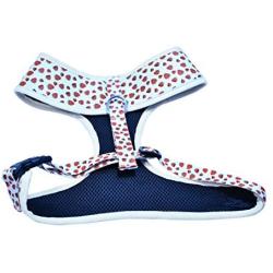 Atlas Rising Dog Harness