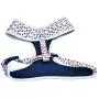 Atlas Rising Dog Harness