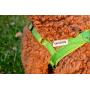 DEXDOG EZHarness, Dog Harness | On/Off Quick | Easy Step in | Walk Vest