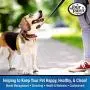 Four Paws Comfort Control Harness