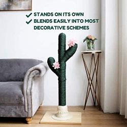 PetnPurr Large Handmade Cactus Cat Scratching Post and Cactus Ceramic Raised Food Bowl