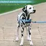 PETBABA No Pull Dog Harness, Reflective Safety at Night, Step-in Vest in Walking Training PETBABA No Pull Dog Harness, Reflective Safety at Night, Step-in Vest in Walking Training