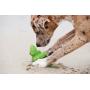 Charming Pet Latex Dog Toy Balloon, Dog, Small