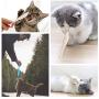 Pet Cat Fish Shape Toothbrush with Catnip Toys，New Interactive Tooth Cleaning Toy for Kitten Kitty，Multi-Function Food Grade Silicone Cat Molar Stick，Get Rid of Bad Breath & Keep Teeth Healthy