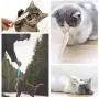 Pet Cat Fish Shape Toothbrush with Catnip Toys,New Interactive Tooth Cleaning Toy for Kitten Kitty,Multi-Function Food Grade Silicone Cat Molar Stick,Get Rid of Bad Breath & Keep Teeth Healthy Pet Cat Fish Shape Toothbrush with Catnip Toys,New Interactive Tooth Cleaning Toy for Kitten Kitty,Multi-Function Food Grade Silicone Cat Molar Stick,Get Rid of Bad Breath & Keep Teeth Healthy