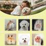 Dog Clippers, Dog Grooming Clippers Kit, Professional Low Noise Grooming Clippers Trimmers, Cordless USB Rechargeable Electric Pet Hair Clippers for Dogs Cats Around Face Paws Eyes Ears Rump White