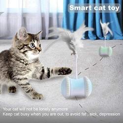 Robotic Interactive Cat Toy, Automatic Cat Toys for Indoor Cats, Electronic Kitty Toy with 2 Feathers, USB Charging 360° Self Rotating LED Ball for All Floors and Carpets Bonus Cat Feather Bell Toy