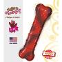 Nylabone Flavor Frenzy Power Chew Dog Toy