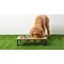 Brave Bark Wood & Metal Feeder - Premium Mango Wood Feeder with Metal Stand, 2 Stainless Steel Bowls for Food or Water Included, Perfect for Dogs, Cats & Pets of Any Size, Great for Home or Office (M) Brave Bark Wood & Metal Feeder - Premium Mango Wood Feeder with Metal Stand, 2 Stainless Steel Bowls for Food or Water Included, Perfect for Dogs, Cats & Pets of Any Size, Great for Home or Office (M)