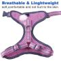 ThinkPet Reflective Breathable Soft Air Mesh No Pull Puppy Choke Free Over Head Vest Ventilation Harness for Puppy Small Medium Dogs and Cats