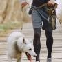 Readsky 1200 Counts Dog Poop Bags with 2 dispensers, Gray