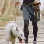 Readsky 1200 Counts Dog Poop Bags with 2 dispensers, Gray Readsky 1200 Counts Dog Poop Bags with 2 dispensers, Gray