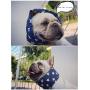 Stock Show Dog Cooling Bandana, Pet Dog Adjustable Ice Chill Out Collar Scarf with 5 Ice Packs for Summer