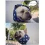 Stock Show Dog Cooling Bandana, Pet Dog Adjustable Ice Chill Out Collar Scarf with 5 Ice Packs for Summer Stock Show Dog Cooling Bandana, Pet Dog Adjustable Ice Chill Out Collar Scarf with 5 Ice Packs for Summer