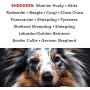 PRIDE AND GROOM - The Shedder, Bottle of Pet Shampoo, 16 oz.
