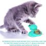 Anosiar Windmill Cat Toy,Interactive Cat Toy,Suction Cup and 2 Catnip,Cat Toys for Indoor Cats,Cat Toothbrush with Soft TPR Material Cleans Mouth More Effectively