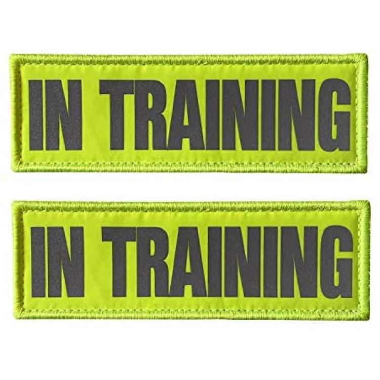 JUJUPUPS Orange Reflective Dog Patches 2 Pack Service Dog,in Training,DO  NOT PET,Patches with Hook and Loop for Vests and Harnesses (DO NOT PET,  5x1.5