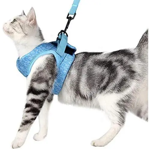 FDOYLCLC Cat Chest Adjustable Escape Proof Harness with Leash Set for Walking, Cat Best Vest Travel Outdoor Jacket, Comfortable Soft Mesh Cat Harness for Small Large Dog Kitten Rabbit