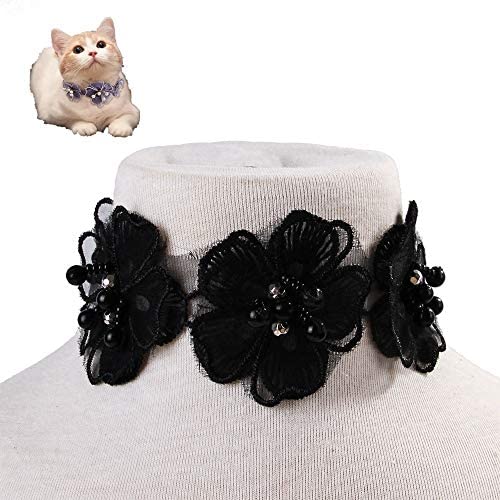 Chenyouwen Pet Toys Great Pet Jewelry Collar Creative Teddy Lace Flower Lace Bib Cute Cat Necklace, Size: M(White) (Color : Black)