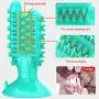 THINIDA Dog Toothbrush, Cactus-Shape Dog Chew Toy, Dental Care Dog Brushing Stick, Dog Teeth Cleaning Toy with Suction Cup for Small, Medium and Large Pets, Puppies and Dogs THINIDA Dog Toothbrush, Cactus-Shape Dog Chew Toy, Dental Care Dog Brushing Stick, Dog Teeth Cleaning Toy with Suction Cup for Small, Medium and Large Pets, Puppies and Dogs