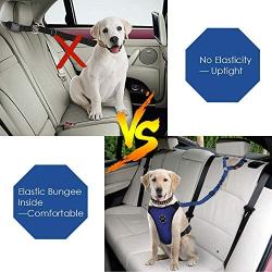 AUTOWT Dog Seatbelt, 2 Pack Pet Car Seatbelt Headrest Restraint Adjustable Puppy Safety Seat Belt with Elastic Bungee and Reflective Stripe Connect with Dog Harness