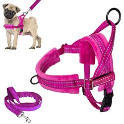 Lukovee Walking Dog Harness and Leash, 2 D Ring Front Lead Soft Padded Vest Harness Reflective Adjustable Puppy Harness Anti-Twist 4FT Pet Lead Quick Fit for Small Dog Cat Animal