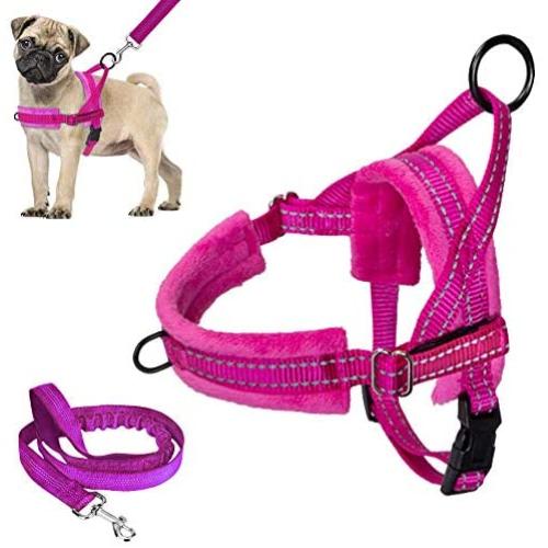 Lukovee Walking Dog Harness and Leash, 2 D Ring Front Lead Soft Padded Vest Harness Reflective Adjustable Puppy Harness Anti-Twist 4FT Pet Lead Quick Fit for Small Dog Cat Animal