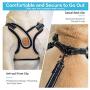Dog Harness - No Pull Adjustable Soft Air Mesh Vest Harness and Leash Set for Small and Medium Dogs Puppy Cats