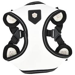 Puppia Legacy Harness C