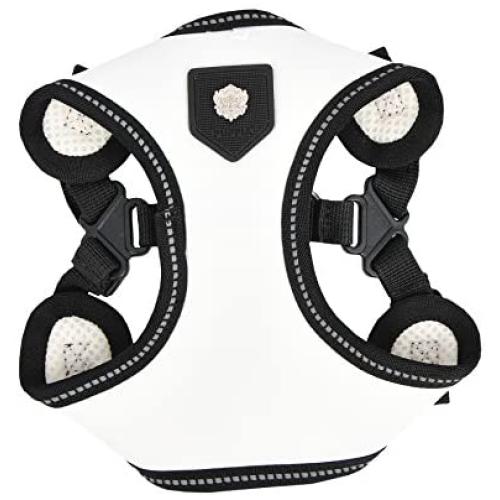 Puppia Legacy Harness C