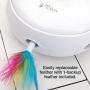 PetFusion Ambush Interactive Electronic Cat Toy with Rotating Feather. (Smart Modes, Nighttime Light, Auto Shut-Off, Batteries Included). Replacement Feathers Available. 12 Month Warranty