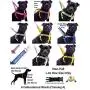 Dexil Limited Caution (Do Not Approach) Red Color Coded Non-Pull Front and Back D Ring Padded and Waterproof Vest Dog Harness Prevents Accidents by Warning Others of Your Dog in Advance