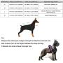 Pet Supplies No Pull Dog Harness with 5 FT Strong Dog Leash and 1 Roll Poop Bag, Adjustable Straps, Breathable Adjustable Comfort for Walking Training Running (L (Chest: 24.8-30.3''))