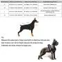 Pet Supplies No Pull Dog Harness with 5 FT Strong Dog Leash and 1 Roll Poop Bag, Adjustable Straps, Breathable Adjustable Comfort for Walking Training Running (L (Chest: 24.8-30.3'')) Pet Supplies No Pull Dog Harness with 5 FT Strong Dog Leash and 1 Roll Poop Bag, Adjustable Straps, Breathable Adjustable Comfort for Walking Training Running (L (Chest: 24.8-30.3''))