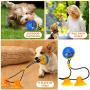 CHARMINER Upgraded Suction Cup Dog Toy, Dog Rope Ball Pull Toy with Double Suction Cup, Multifunction Molar Bite Toy Tug of War for Aggressive Chewers and Toothbrush