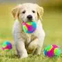 4 Pieces Spiny Light Up Dog Balls LED Glowing Pet Spiky Ball Flashing Elastic Ball Pet Color Spiny Balls Molar Ball Interactive Cat Toys for Pets Cats Dogs Chewing Teeth Cleaning, 2.2 Inch 4 Pieces Spiny Light Up Dog Balls LED Glowing Pet Spiky Ball Flashing Elastic Ball Pet Color Spiny Balls Molar Ball Interactive Cat Toys for Pets Cats Dogs Chewing Teeth Cleaning, 2.2 Inch