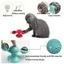 JHT 2PACK Windmill Cat Toy Turntable Teasing Toys with Two Flash Lights Four Catnip Two Balls Strong Suction Cup Spinning Cat (Blue &Red) JHT 2PACK Windmill Cat Toy Turntable Teasing Toys with Two Flash Lights Four Catnip Two Balls Strong Suction Cup Spinning Cat (Blue &Red)