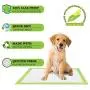Greenbone 13404 32 Count Bio Pet Training Pads