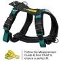 Alpine Outfitters Urban Trail Adjustable Harness Alpine Outfitters Urban Trail Adjustable Harness