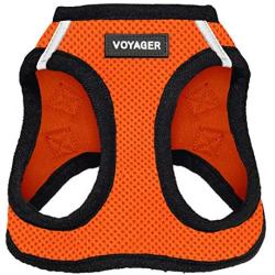 Best Pet Supplies Voyager Step-in Air Dog Harness - All Weather Mesh, Step in Vest Harness for Small and Medium Dogs Orange Base, XL (Chest: 21-23''), 207T-ORB-XL