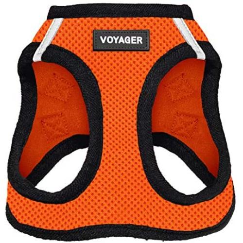 Best Pet Supplies Voyager Step-in Air Dog Harness - All Weather Mesh, Step in Vest Harness for Small and Medium Dogs Orange Base, XL (Chest: 21-23''), 207T-ORB-XL
