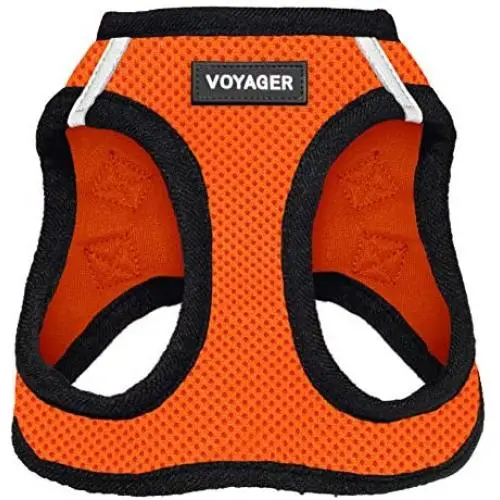 Best Pet Supplies Voyager Step-in Air Dog Harness - All Weather Mesh, Step in Vest Harness for Small and Medium Dogs Orange Base, XL (Chest: 21-23''), 207T-ORB-XL Best Pet Supplies Voyager Step-in Air Dog Harness - All Weather Mesh, Step in Vest Harness for Small and Medium Dogs Orange Base, XL (Chest: 21-23''), 207T-ORB-XL
