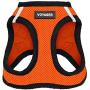 Best Pet Supplies Voyager Step-in Air Dog Harness - All Weather Mesh, Step in Vest Harness for Small and Medium Dogs Orange Base, XL (Chest: 21-23''), 207T-ORB-XL