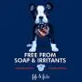 Fifi and Fido Natural Pet Shampoo 16 ounces. Fifi and Fido Natural Pet Shampoo 16 ounces.