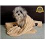 Set of 2 Super Absorbent Dog Drying Towels with Paw Prints - 1 Large, 1 Medium