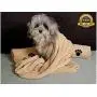 Set of 2 Super Absorbent Dog Drying Towels with Paw Prints - 1 Large, 1 Medium Set of 2 Super Absorbent Dog Drying Towels with Paw Prints - 1 Large, 1 Medium
